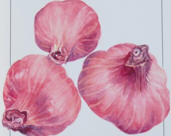 Shallots Notecard - Veggies Watercolor Series by Ellen Heath colorful satin finish, blank inside