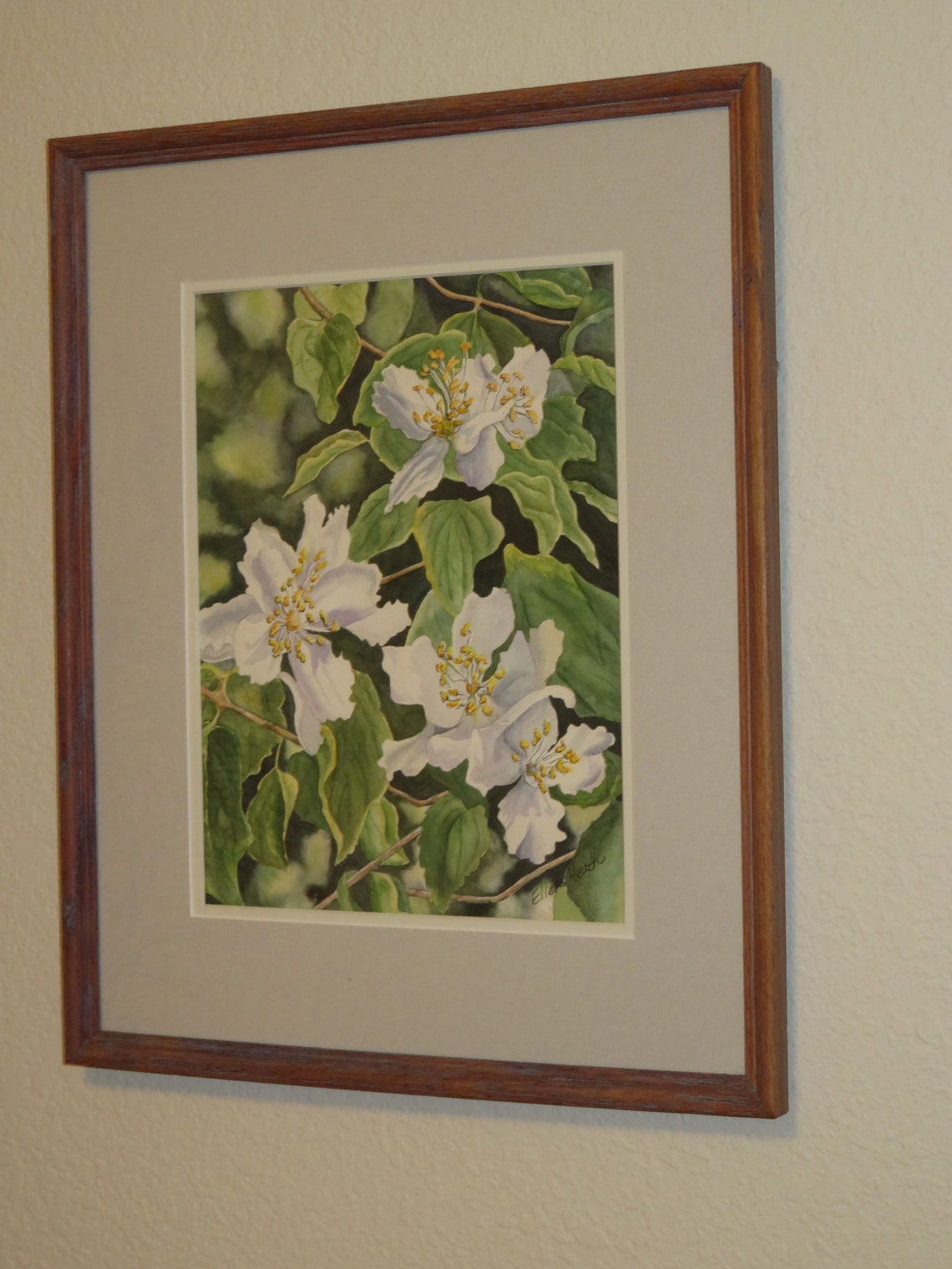 Mock orange essay 07 picture