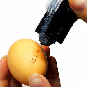 Eieren datum stempel met inktkussen. Voor legdatum.