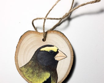 Grosbeak Ornament Etsy