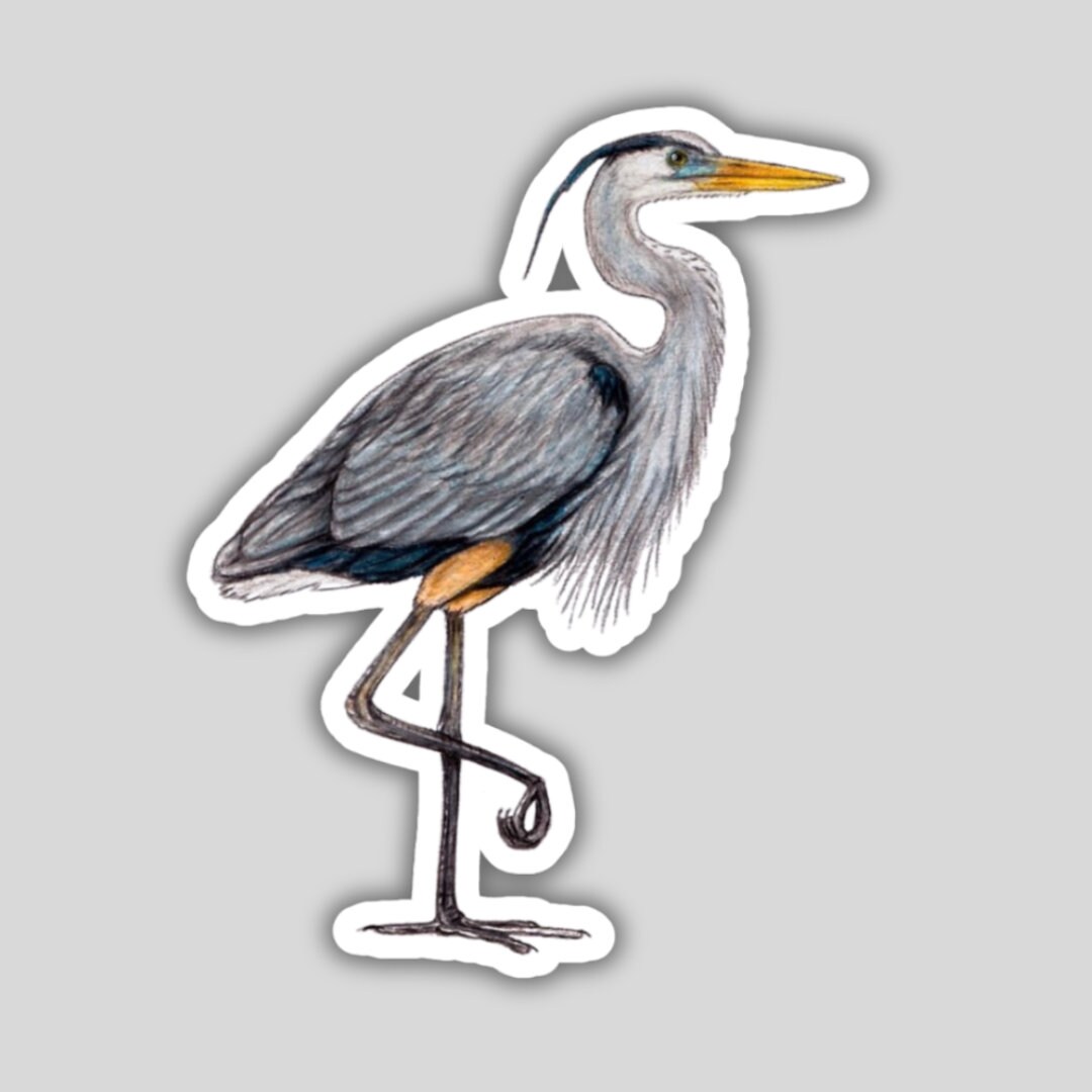 Great Blue Heron Sticker Waterresistant Bird Lover Gift Etsy