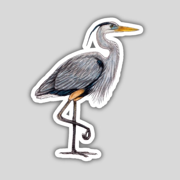 Great Blue Heron Sticker, water-resistant, bird lover gift, birding birdwatching birder birds