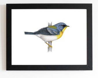 Northern Parula Warbler Original Art 5x7 inches, bird art, bird art print, birding, birdwatching, bird lover, backyard birds warbler