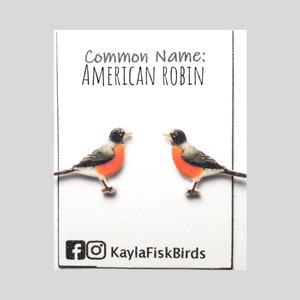 American robin earrings jewelry bird birds backyard