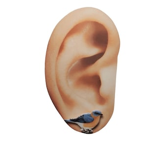 Eastern bluebird earrings, bird jewelry, backyard birds, bird lover birder birdwatcher birdwatching image 2