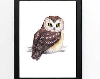 May include: A framed illustration of a brown and white owl with yellow eyes. The owl is perched on a branch and is looking directly at the viewer.