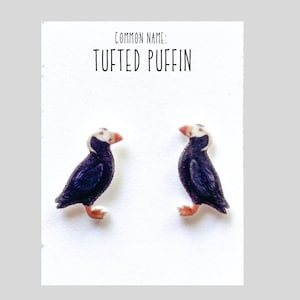 Tufted Puffin earrings, puffin jewelry seabird auk