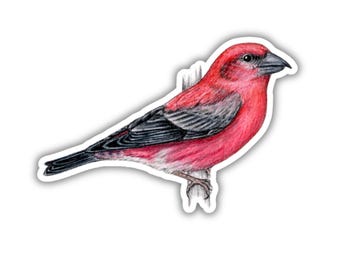 Rode kruisbeksticker, waterbestendig, cadeau voor vogelliefhebber achtertuin, wintervink