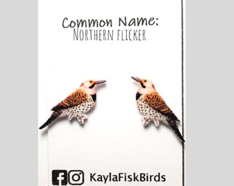 Northern flicker earrings | woodpecker bird jewelry | birds ornithology birding birdwatching gift birder