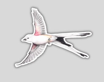 Scissor-tailed Flycatcher sticker, water-resistant, backyard bird lover gift, birding birdwatching birder