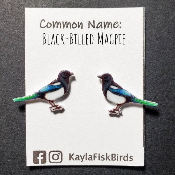 Black billed magpie earrings | magpie bird jewelry | birds ornithology birding birdwatching gift birder corvid