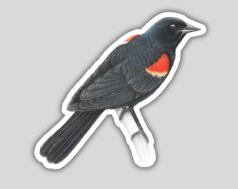 May include: A black bird with a red patch on its chest is perched on a branch. The bird has a long, pointed beak and dark eyes.