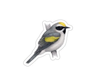 Goldener geflügelter Waldsänger Aufkleber, wasserfest, Vogelliebhaber Geschenk, Vogelbeobachter Vogelbeobachter Hinterhofvogel