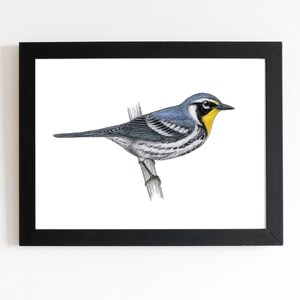Yellow-throated Warbler Art Print 5x7 inches, bird art, bird art print, birding, birdwatching, bird lover, backyard birds warbler