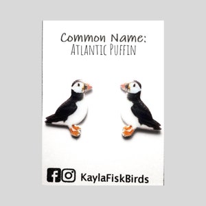 Atlantic puffin earrings | bird jewelry | birds ornithology birding birdwatching gift birder seabird