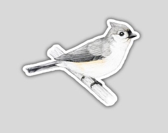 Tufted Titmouse sticker, water-resistant, bird lover gift, birding birdwatching birder