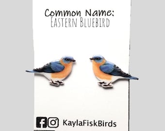 Eastern bluebird earrings, bird jewelry, backyard birds, bird lover birder birdwatcher birdwatching