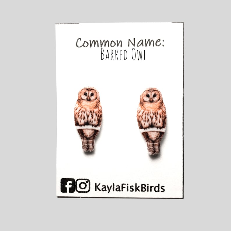 K&ouml;nnte beinhalten: Ein Paar braune und wei&szlig;e Eulenohrringe. Die Ohrringe sind aus Polymer Clay gefertigt und haben die Form von Eulen. Die Eulen haben braune Augen und einen wei&szlig;en Bauch. Die Ohrringe sind mit "Common Name: BARRED OWL" beschriftet.