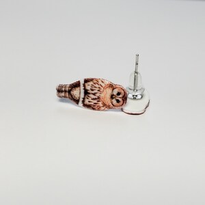 K&ouml;nnte beinhalten: Ein Paar Ohrstecker mit einem braunen und wei&szlig;en Eulenmotiv. Die Ohrringe sind aus Metall und haben eine silberne Oberfl&auml;che.