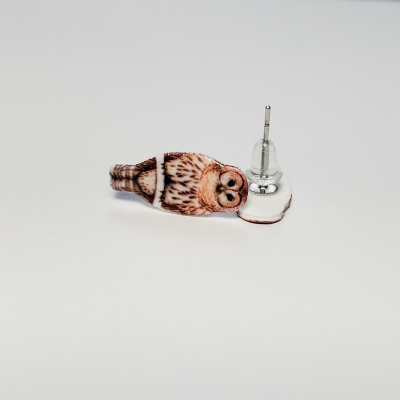 K&ouml;nnte beinhalten: Ein Paar Ohrstecker mit einem braunen und wei&szlig;en Eulenmotiv. Die Ohrringe sind aus Metall und haben eine silberne Oberfl&auml;che.