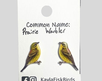 Prairie Warbler earrings | warbler jewelry | birds ornithology birding birdwatching gift parulidae spring birder