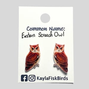 Eastern Screech Owl earrings, birds, birding
