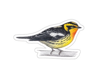 May include: A sticker featuring a detailed illustration of a small bird. The bird has a yellow breast and belly, black and white wings, and a black and yellow head. It is perched on a gray branch against a white background.