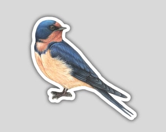 Barn Swallow Sticker, water-resistant, bird lover gift, birding birdwatching birder