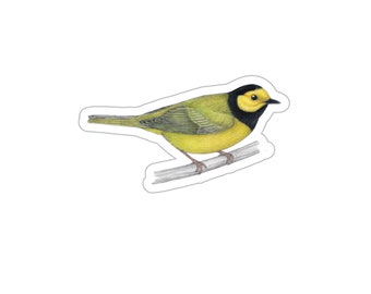 May include: A yellow-throated warbler perched on a branch. The bird has a black cap and a yellow throat. The bird is depicted in a realistic style.