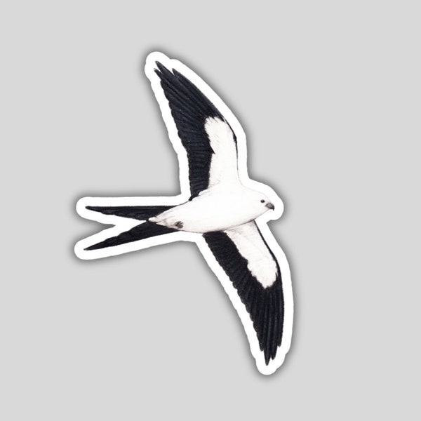 Swallow Tailed Kite sticker, water-resistant, bird lover gift, birding birdwatching birder birds