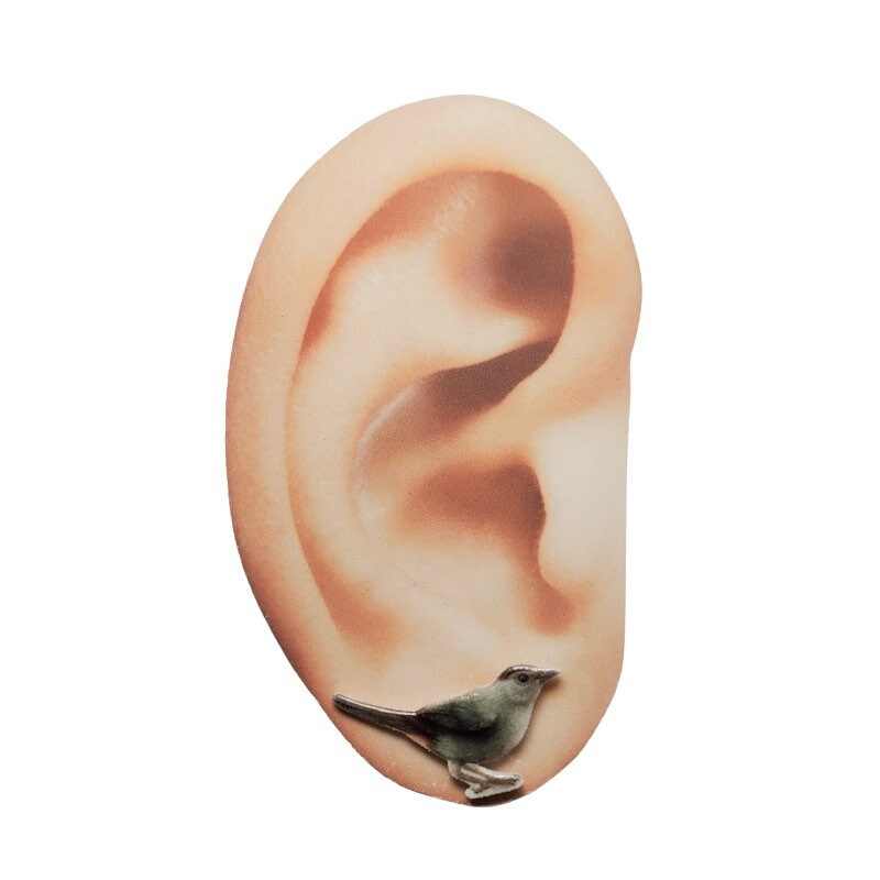 Gray Catbird Earrings Catbird Jewelry Birds Ornithology Etsy