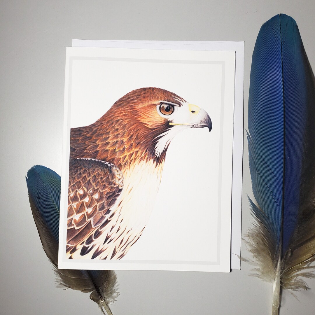 Birding Rack Card Red-tailed Hawk Greeting Card, Birds, Birding ,birder Birdwatching ...
