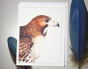 Red-tailed Hawk Greeting Card, birds, birding ,birder birdwatching, falconry red tailed hawk bird of prey art card