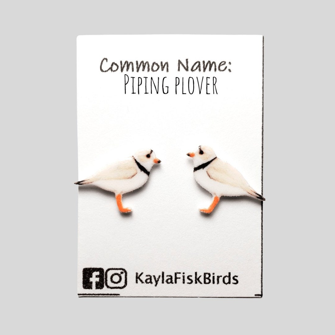 Piping Plover Earrings, Plover Jewelry Shorbird Peep Birding