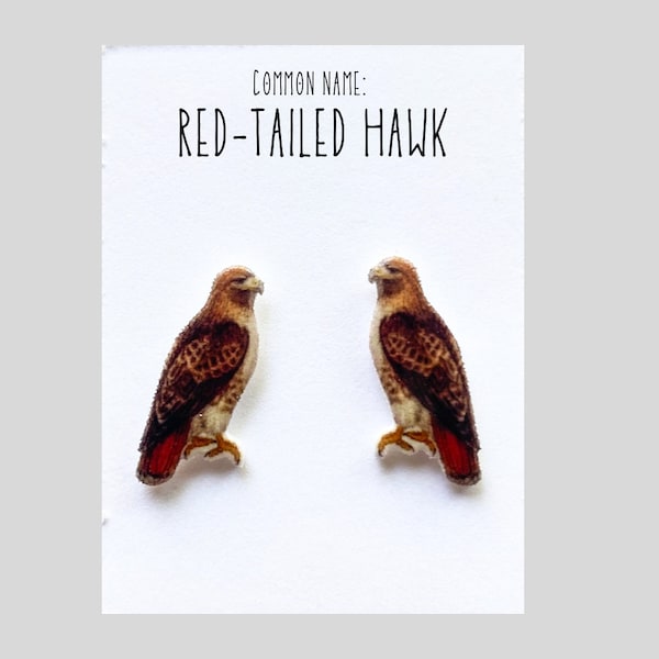 Red tailed Hawk earrings, hawk jewelry birds of prey raptor