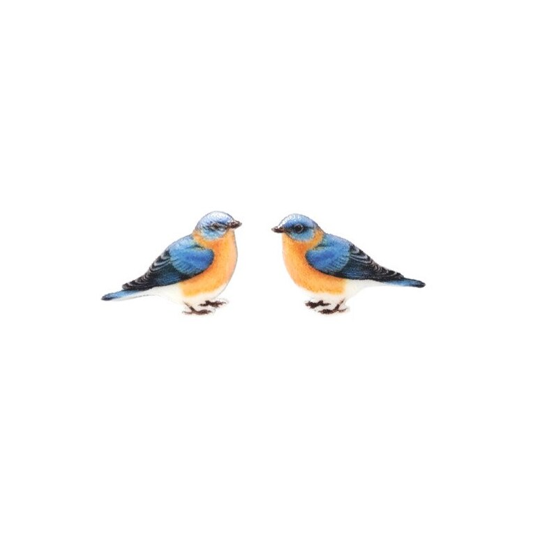 Eastern bluebird earrings, bird jewelry, backyard birds, bird lover birder birdwatcher birdwatching image 3