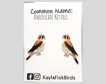 American kestrel earrings | kestrel jewelry | falcon earrings falcon jewelry falconry birds of prey birding birdwatching gift