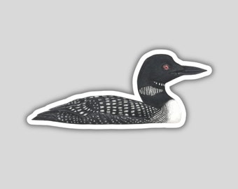 Common Loon Sticker, water-resistant, bird lover gift, birding birdwatching birder birds