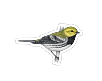 May include: A black-throated green warbler perched on a branch. The bird has a yellow head, green back, and black throat. It is a small songbird with a long tail.