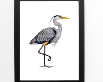 May include: A watercolor illustration of a blue heron standing on one leg with its head turned to the right. The heron is gray with a black head and a yellow beak.