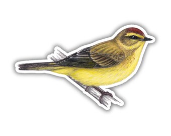 May include: A sticker featuring a detailed illustration of a small bird. The bird has a yellow breast, a brown back, and a red cap. It is perched on a thin branch, with its wings slightly spread. The sticker has a white border.