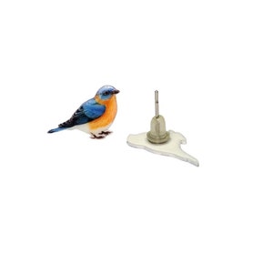 Eastern bluebird earrings, bird jewelry, backyard birds, bird lover birder birdwatcher birdwatching image 4
