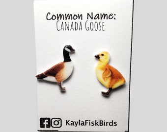 Op de afbeelding: Een paar oorbellen met een Canadese gans en een gansje. De oorbellen zijn gemaakt van polymer clay en realistisch geschilderd. De oorbellen bevinden zich op een witte kaart met de tekst "Common Name: CANADA GOOSE" en "KaylaFiskBirds".