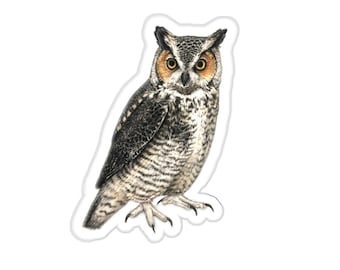 May include: A brown and gray great horned owl with yellow eyes. The owl is perched with its wings folded and its head turned slightly to the side.