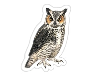 Great Horned Owl sticker decal, water-resistant, bird lover gift, birding birdwatching birder backyard bird