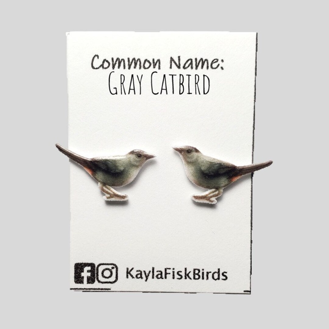 Gray Catbird Earrings Catbird Jewelry Birds Ornithology Birding