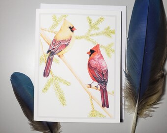 Northern Cardinal Greeting Card, birds, birding ,birder, birdwatching, winter bird blank art card red bird