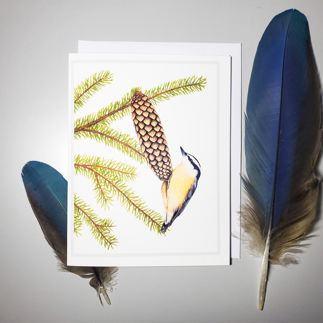 Birding Rack Card Red Breasted Nuthatch Greeting Card, Birds, Birding ,birder ...