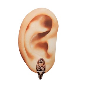 K&ouml;nnte beinhalten: Ein Paar Ohrstecker in Form einer Eule. Die Ohrstecker sind braun und wei&szlig; mit einem realistischen Eulenmotiv.