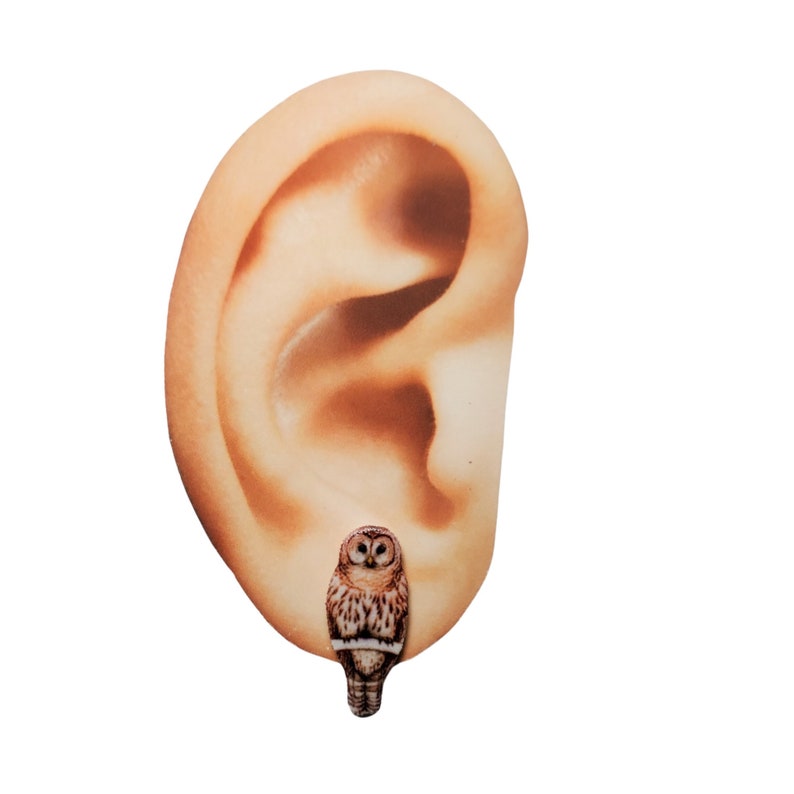 K&ouml;nnte beinhalten: Ein Paar Ohrstecker in Form einer Eule. Die Ohrstecker sind braun und wei&szlig; mit einem realistischen Eulenmotiv.